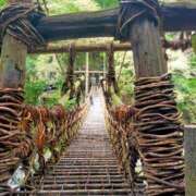 ヒメ日記 2025/04/16 14:22 投稿 ひより Evolution 2nd