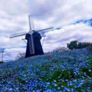 ヒメ日記 2025/04/25 09:05 投稿 ひより Evolution 2nd