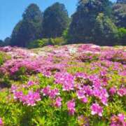 ヒメ日記 2025/05/21 10:02 投稿 ひより Evolution 2nd