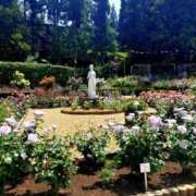 ヒメ日記 2025/05/23 09:02 投稿 ひより Evolution 2nd