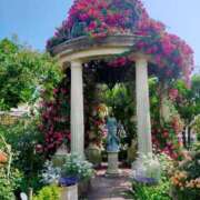 ヒメ日記 2025/06/11 09:03 投稿 ひより Evolution 2nd