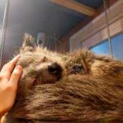 ヒメ日記 2025/06/24 09:02 投稿 ひより Evolution 2nd