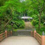 ヒメ日記 2025/07/01 10:17 投稿 ひより Evolution 2nd