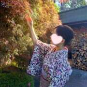 ヒメ日記 2025/07/07 09:22 投稿 ひより Evolution 2nd