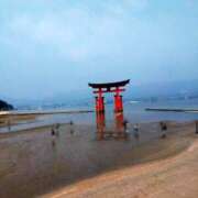 ヒメ日記 2025/07/08 09:07 投稿 ひより Evolution 2nd