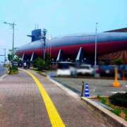 ヒメ日記 2025/07/14 09:02 投稿 ひより Evolution 2nd