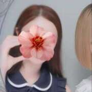 ヒメ日記 2025/09/15 08:12 投稿 ひより Evolution 2nd