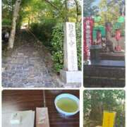 ヒメ日記 2025/11/08 09:14 投稿 ひより Evolution 2nd