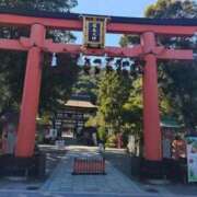 ヒメ日記 2025/11/11 09:17 投稿 ひより Evolution 2nd