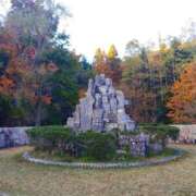 ヒメ日記 2025/11/25 08:52 投稿 ひより Evolution 2nd