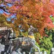 ヒメ日記 2025/11/26 09:02 投稿 ひより Evolution 2nd