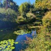 ヒメ日記 2025/12/05 09:02 投稿 ひより Evolution 2nd