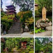 ヒメ日記 2025/12/08 08:42 投稿 ひより Evolution 2nd