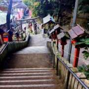 ヒメ日記 2025/12/22 09:02 投稿 ひより Evolution 2nd