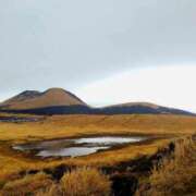 ヒメ日記 2026/02/23 09:18 投稿 ひより Evolution 2nd