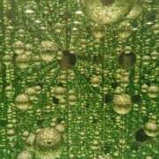 ヒメ日記 2026/02/27 09:02 投稿 ひより Evolution 2nd