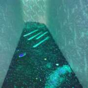 ヒメ日記 2026/03/03 09:17 投稿 ひより Evolution 2nd