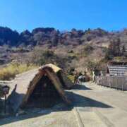 ヒメ日記 2026/03/17 09:13 投稿 ひより Evolution 2nd