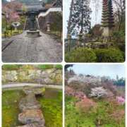 ヒメ日記 2026/04/03 09:12 投稿 ひより Evolution 2nd