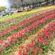 ヒメ日記 2026/04/20 09:02 投稿 ひより Evolution 2nd