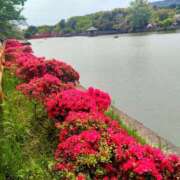 ヒメ日記 2026/04/24 09:12 投稿 ひより Evolution 2nd