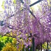 ヒメ日記 2026/04/27 09:02 投稿 ひより Evolution 2nd