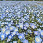 ヒメ日記 2026/05/02 09:02 投稿 ひより Evolution 2nd