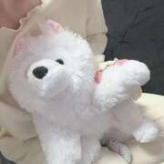 ヒメ日記 2025/04/11 00:12 投稿 ひじり Evolution 2nd