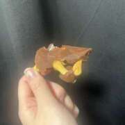 ヒメ日記 2025/05/25 20:42 投稿 ひじり Evolution 2nd