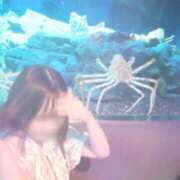 ヒメ日記 2025/06/15 00:12 投稿 ひじり Evolution 2nd