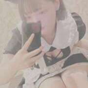 ヒメ日記 2025/07/09 15:42 投稿 ひじり Evolution 2nd