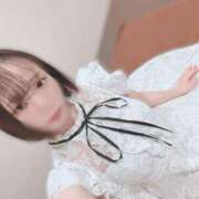 ヒメ日記 2025/07/12 12:32 投稿 ひじり Evolution 2nd