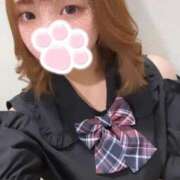 ヒメ日記 2025/09/03 14:42 投稿 ひじり Evolution 2nd