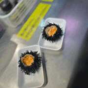 ヒメ日記 2025/10/02 14:02 投稿 ひじり Evolution 2nd