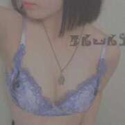 ヒメ日記 2025/11/08 09:22 投稿 ひじり Evolution 2nd