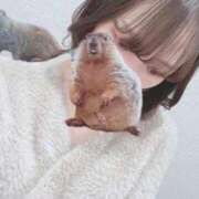 ヒメ日記 2025/11/17 12:03 投稿 ひじり Evolution 2nd