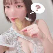 ヒメ日記 2025/11/20 13:54 投稿 ひじり Evolution 2nd