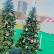 ヒメ日記 2025/12/16 12:42 投稿 ひじり Evolution 2nd