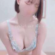 ヒメ日記 2025/12/22 06:26 投稿 ひじり Evolution 2nd