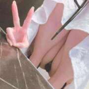 ヒメ日記 2025/12/31 13:58 投稿 ひじり Evolution 2nd