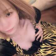 ヒメ日記 2026/02/12 12:22 投稿 ひじり Evolution 2nd