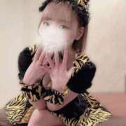 ヒメ日記 2026/02/14 04:12 投稿 ひじり Evolution 2nd