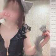 ヒメ日記 2026/02/15 06:17 投稿 ひじり Evolution 2nd