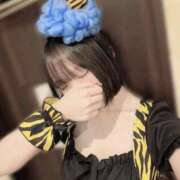 ヒメ日記 2026/02/24 01:02 投稿 ひじり Evolution 2nd