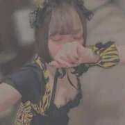 ヒメ日記 2026/02/28 01:12 投稿 ひじり Evolution 2nd