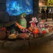 ヒメ日記 2026/04/17 01:12 投稿 ひじり Evolution 2nd