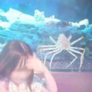 ヒメ日記 2026/07/19 06:02 投稿 ひじり Evolution 2nd