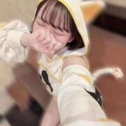 ヒメ日記 2026/09/01 11:34 投稿 ひじり Evolution 2nd