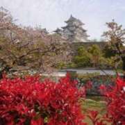 縄田るな 素敵でした 五十路マダム姫路店