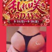 ヒメ日記 2026/09/18 07:24 投稿 さえ 人妻カーラ伝説  THE  J-MILF  CLUB  YOKOHAMA